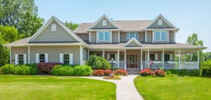 picture of a pest free home
