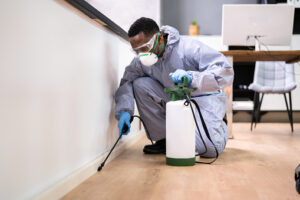 pest control services harare