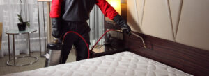 bed bug control services harare